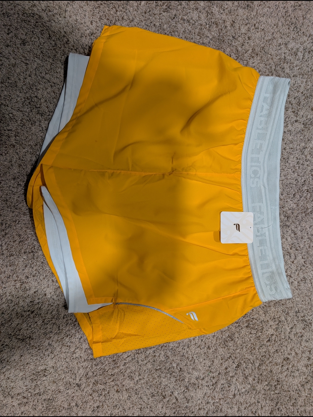 Women's Fabletics Running/Workout Shorts